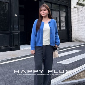 Happy Plus – Cardigan tricoté pour femmes, bleu lac, couleur unie, fibre acrylique, grande taille, vêtements d'automne et d'hiver, N9405 - Product Image 1