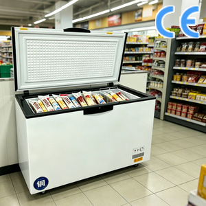 Congelador Vertical Comercial de Alta Calidad, Pequeño y Profundo, Horizontal - Product Image 1