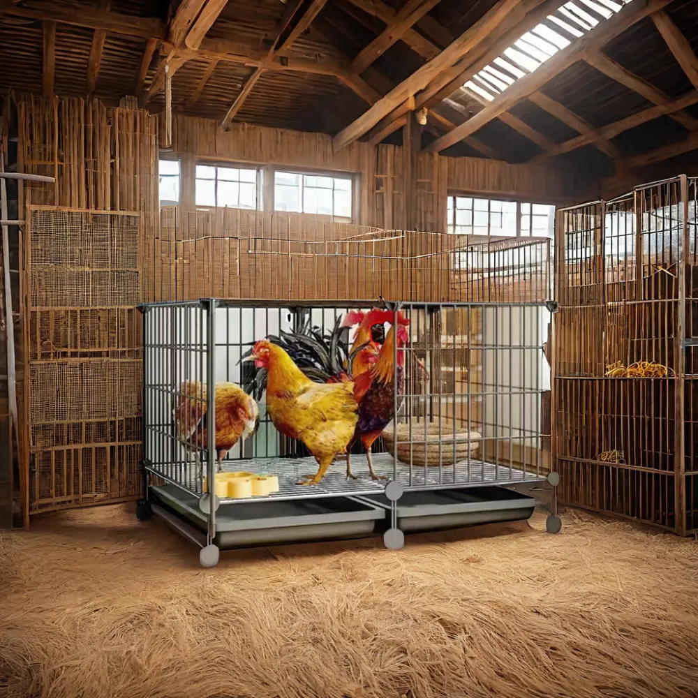 2024 Hot Sale Customized Layer Chicken Cage for Egg Production and Poultry Farm Pet Cage