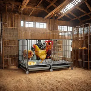 2024 diskon besar-besaran lapisan kustom kandang ayam untuk produksi telur dan kandang hewan peliharaan peternakan unggas