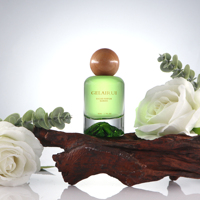 Flacons de parfum de luxe en verre de 50 ml, couleur or, sérigraphiés, marque GLR, avec bouchon, pour femmes, prix d'usine, certifiés GRS.