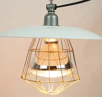 Lampe Chauffante Agricole en Aluminium Premium en Gros - Performance Stable, Installation Facile, Appareil de Chauffage pour l'Élevage de Volailles et de Porcs