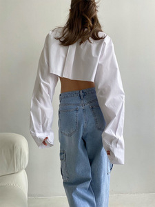 Blus Wanita Lengan Panjang Model Potongan Asimetris Kasual, Atasan Pendek Crop, Koleksi Musim Semi Gugur Terbaru, Diskon Besar - Product Image 5