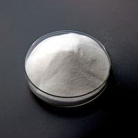 Xingyan haute qualité écologique TPU adhésif PET Film thermofusible blanc DTF poudre pour imprimante DTF transfert de chaleur impression vêtement