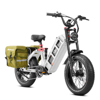 Vente chaude VTT électrique 250W moyeu arrière moteur aventure Cube e-bike cadre en acier batterie au Lithium alimentation
