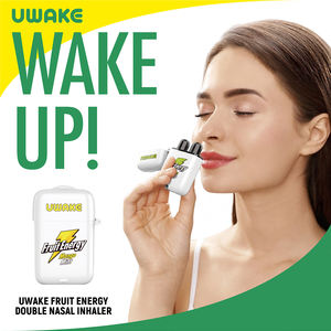 <span class=keywords><strong>2025</strong></span> NOVO Sabor De Melancia Fresca Dupla Nasal Inalador Vara Nova Oferta De Saúde Melhora A Respiração Alivia Enchido - Product Image 4