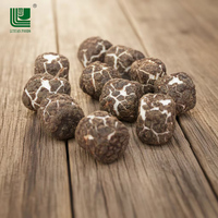 Chaoan Luyuan, Certificado ISO22000, OEM, Malvaviscos Liofilizados con Recubrimiento de Chocolate, Barra Sólida de Caramelo, Delicias Dulces, 12 Unidades