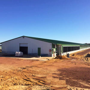 Progettazione di Allevamenti Avicoli Prefabbricati in Acciaio a Basso Costo, Pollaio - Product Image 1