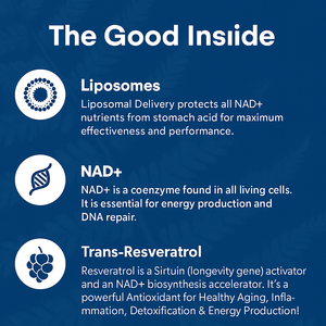 Hot Selling Hoge Kwaliteit Nad Softgel Capsules Nicotinamide Riboside Nucleosiden Supplement Energie Hersenfunctie Nad + Capsules - Product Image 6