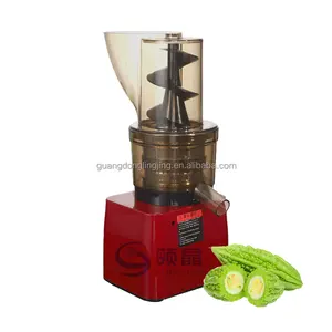 500W comercial masticación Boca Grande velocidad lenta Prensa en frío verduras frescas máquina exprimidora de calabaza amarga