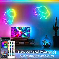 Diode électroluminescente RGB 24V multicolore personnalisée avec cordon lumineux LED flexible avec corps en PVC IP67