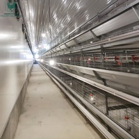 Équipement avicole automatique de type H à opération facile pour cages à batterie avec système de nettoyage du fumier pour l'élevage de poulets