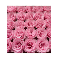 Hellrosa Gold-Rosa Schimmernde Kristallrosenköpfe - Künstliche Unvergängliche Pailletten-Rosen im Klassischen Stil 30-Stück-Box für Lehrer