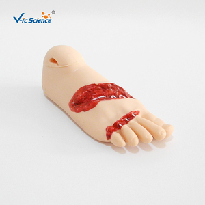 <span class=keywords><strong>Kit</strong></span> de simulation de plaies traumatiques portable 16 pièces pour amputation ou fracture ouverte, pour laboratoire de compétences infirmières CE ISO ROHS CNAS - Product Image 6