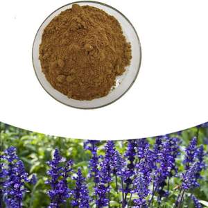 Extrato Vegetal De Cuidados De Saúde Salvia Officinalis <span class=keywords><strong>Clary</strong></span> <span class=keywords><strong>Sage</strong></span> <span class=keywords><strong>Extract</strong></span> - Product Image 2