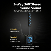 Nouveau Système Sonore Professionnel SODLK 2026 : Enceinte Subwoofer Multifonctionnelle Coaxiale Active pour Extérieur avec Amplificateur