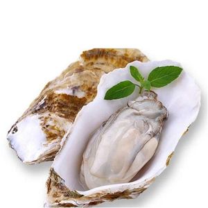 Extracto de Ostra Orgánico en Polvo al Mejor Precio, Suplementos Nutricionales, Extracto de Concha Ostreae - Product Image 2