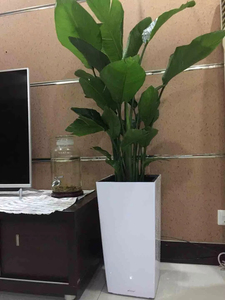 Vaso per Piante Moderno Leizisure con Finitura Lucida, Quadrato, Piccole Dimensioni, per Ufficio, Soggiorno, Scrivania, Cucina e Giardino - Product Image 3