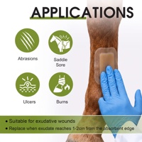 Pansement transparent auto-adhésif en hydrogel pour chevaux