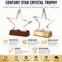 Trophée étoile en cristal K9 personnalisé avec étoile intérieure givrée, base en bois massif, certificat de formation gravé, cadeau de récompense, vente en gros