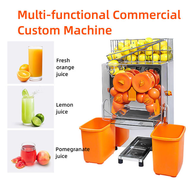 Slow Juicer Cold Press Juicer Electric Masticating Juicer for Home and Small Business