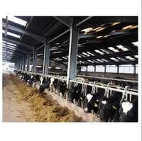 Structure en acier préfabriquée légère de haute qualité pour abri de vaches, abri de chevaux, abri pour moutons, grange, écuries, bâtiment agricole