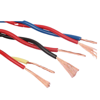 Kabel Listrik Multi Inti Berinti Tembaga Tahan Api NH-RVV Berisolasi PVC dengan Peringkat IP20 untuk Kelistrikan dan Perkabelan Bangunan