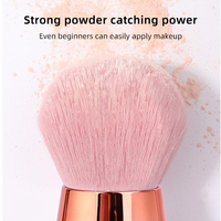 Mini Portable Rose Rose Puff Poudre Blush Rose Vegan Doux Marque Privée Maquillage Brosse Ensemble Manche En Plastique Maquillage Brosse Ensemble