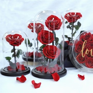 Roses éternelles sous dôme de verre, 7/lot, fausses fleurs, pour un cadeau, vente en gros, <span class=keywords><strong>2021</strong></span> - Product Image 1