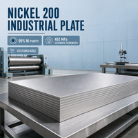 Plaque industrielle en nickel 200 personnalisable avec une pureté de 99 % de Ni et une résistance ultime de 462 MPa