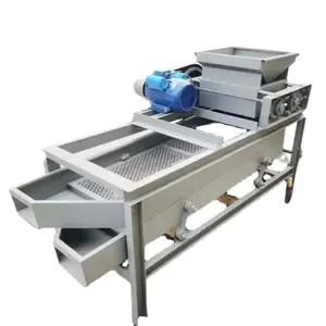 Porca Peeling Equipment Stick Factory Supply Batan Wood Dried Fruit Shell Quebrando a máquina