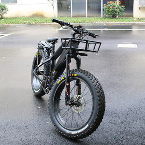 New Style Dual Battery Ebike Mid Drive 48V 1000W Belt Drive Electric Fat Bike Bicycle - Product Image 2