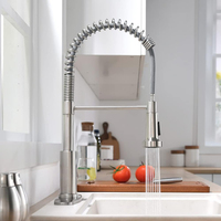 Robinet de cuisine commercial monocommande en acier inoxydable avec plaque de fixation, robinet de cuisine à ressort avec douchette extractible