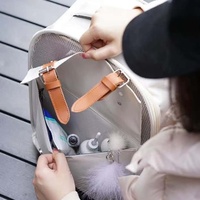Sac à dos pour chat en tissu Oxford, couleur macaron, avec fenêtre en maille, portable, pliable, respirant, léger, grande capacité