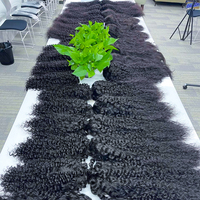 Extensions de cheveux humains brésiliens vierges bruts de qualité supérieure, alignés aux cuticules, non traités, ondulés, double trame, vente en gros