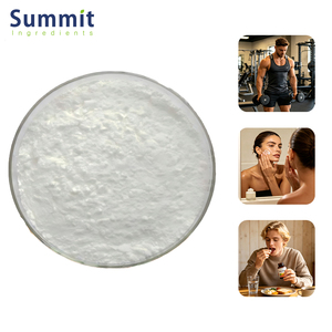 Créatine Monohydrate Micronisée 200 Mesh 99% Pure en Poudre, Vente en Gros Usine, Prise en Charge de la Personnalisation, Certifiée ISO9001, Marque Summit - Product Image 1