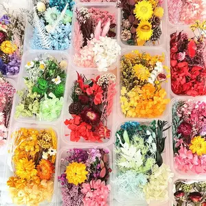 Handgemachte raffinierte Materialien Trocken blumen paket Hortensie konservierte Blume für Girlande getrocknete Blumen dekoration Kerzen Dekor