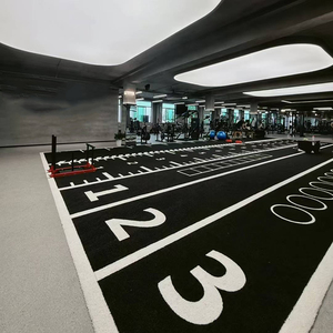 Césped Artificial de Simulación Verde Directo de Fábrica, Alfombra de Césped para Gimnasio, Pista de Trineo, Calidad Premium, Logotipo Personalizado OEM, Tapete de Césped para Gimnasio para Deportes - Product Image 2