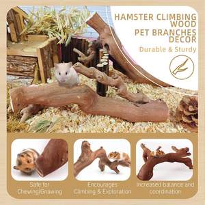 Holz-Kletterzweige für Hamster, Natürliche Holzspielzeuge zum Klettern und Kauen für Syrische Hamster, Übungsspielzeug für Ratten - Product Image 2