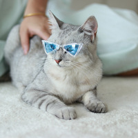 Lunettes de soleil pour animaux de compagnie (chiens, chats, chiots) de créateur, en gros, en stock, haute qualité, prix bas
