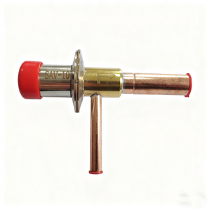 콜드 드라이어 SAV 바이패스 밸브 냉동 에너지 조절 밸브 05 20 핫 가스 바이패스 일정 압력 확장 밸브 골드 - Product Image 1