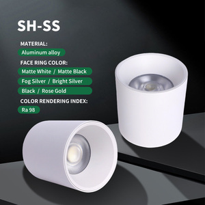 Foco LED de Superficie de Aluminio Personalizado de Alta Gama 15W 20W 30W 40W 50W 60W Ra92 de Alta Luminosidad - Product Image 1