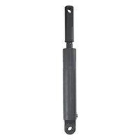 High Performance Truck Tailgate Hydraulic Single-Acting Ram Lifting Cylinder Hard Chrome Plated for Delivery Truck Taillift