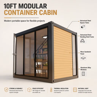 Maison conteneur préfabriquée de 10 pieds, cabane portable polyvalente pour bureau de jardin, sauna et mini-studio