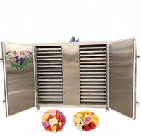 Commerciële automatische 304 roestvrijstalen vriesdroogmachine vacuümdroger voor fruit en groenten, energiezuinig