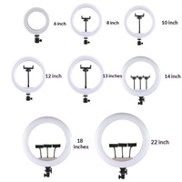 Anneau lumineux LED à température de couleur réglable, 3 modes, lampe de beauté à intensité variable avec support pour diffusion en direct, selfie, photographie, maquillage