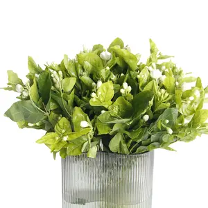 Fresh Jasmine Flower Suppliers Fresh Cut Flower Fresh Flower from Yunnan China