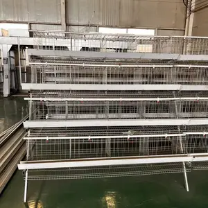 Best Quality Good Price Egg Laying Hens Farming Chicken Layer Battery Cage for sale for Bangladesh