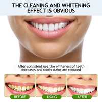 Dentifrice en Mousse Blanchissant Naturel Végétalien Riche en Minéraux au Charbon Actif et aux Herbes, Sans Fluorure, en Gros