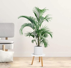 Soporte para <span class=keywords><strong>macetas</strong></span> <span class=keywords><strong>de</strong></span> Interior <span class=keywords><strong>de</strong></span> mediados <span class=keywords><strong>de</strong></span> siglo, mesa moderna <span class=keywords><strong>de</strong></span> <span class=keywords><strong>madera</strong></span> para plantas, soporte alto para <span class=keywords><strong>macetas</strong></span> <span class=keywords><strong>de</strong></span> flores, mesa lateral redonda pequeña - Product Image 6